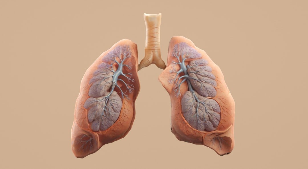 FeNO Testing vs. Spirometry: What’s the Difference and When to Use Each