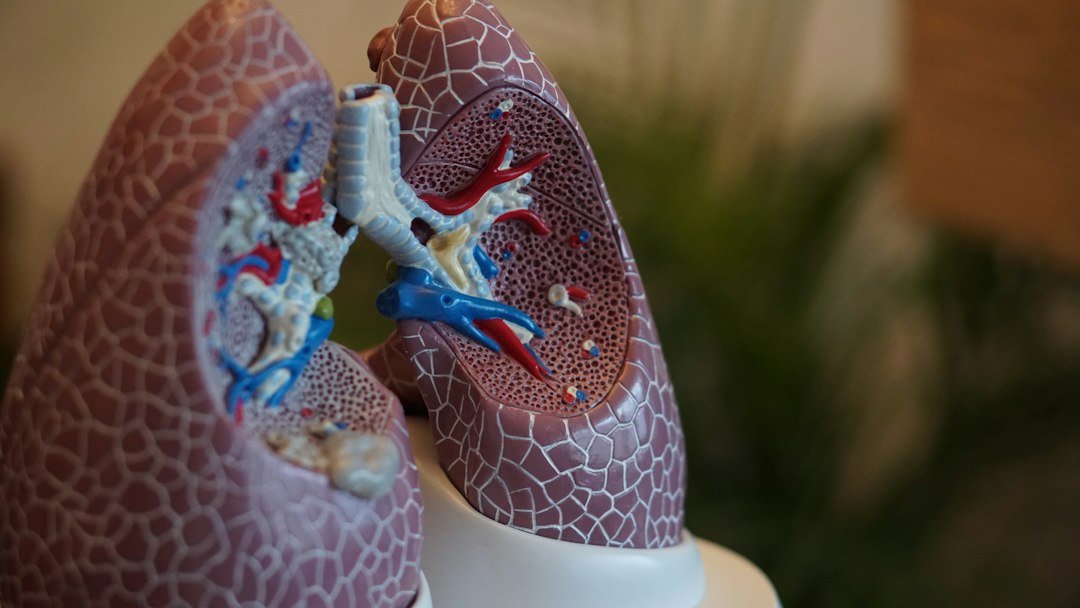 Peak Flow Meters at Home: A Simple Daily Tool to Help Manage Asthma